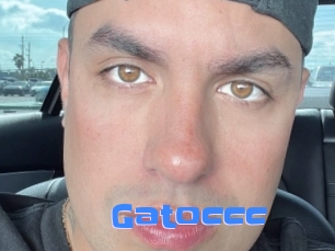 Gatoccc