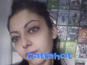 Gattahot