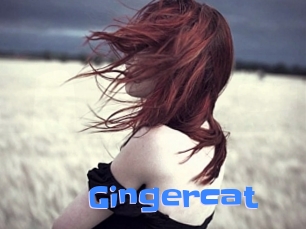 Gingercat