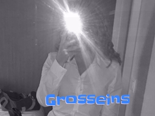 Grosseins