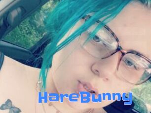 HareBunny
