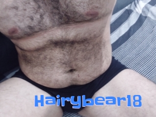 Hairybear18