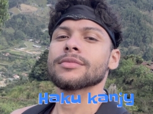 haku_kanjy Mausi Privat
