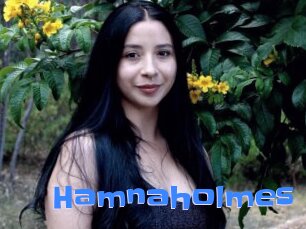 Hamnaholmes