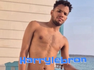 Harrylebron