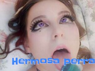 Hermosa_perra