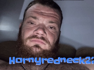 Hornyredneck22