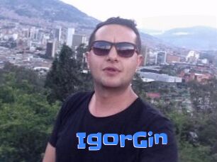 IgorGin
