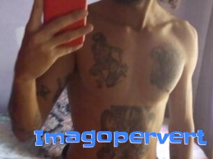 Imagopervert