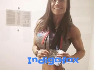 Indigofox