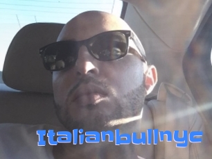 italianbullnyc Mausi Privat