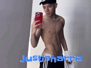 justinharriz Mausi Privat