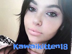 Kawaikitten18