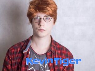 KevinTiger