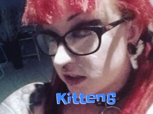 Kitten6