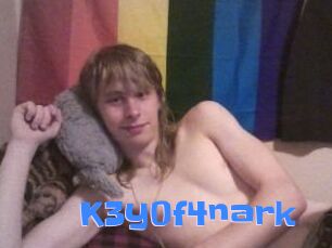 K3y0f4nark