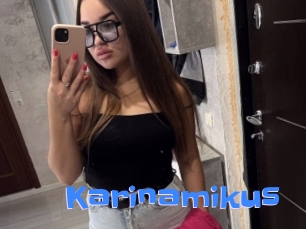 Karinamikus