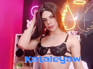 kataleyaw Mausi Privat