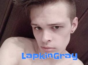 LapkinGray