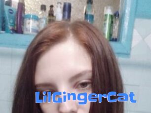 LilGingerCat