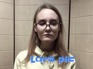 Lora_pic