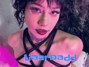 Liaaroadd