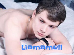 Liamamell