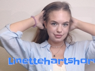 Linettehartshorn