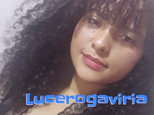 Lucerogaviria