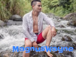 MagnusWayne