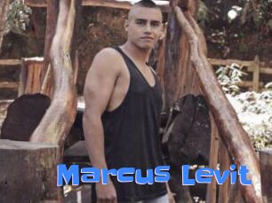 Marcus_Levit