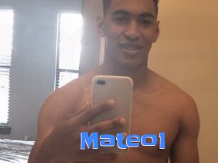 Mateo1
