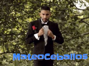 MateoCeballos