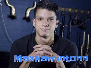 MaxHamintonn