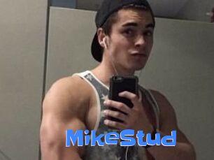 MikeStud