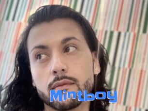 Mintboy