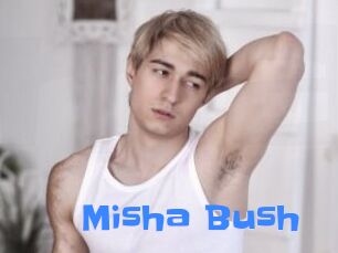 Misha_Bush