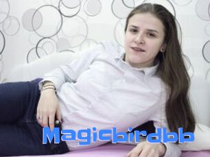 Magicbirdbb