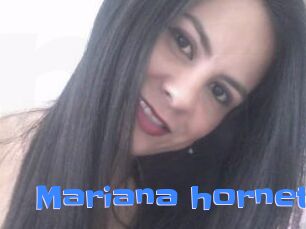 Mariana_hornet