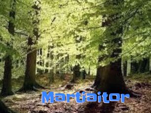 Martiaitor