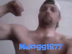 Mdogg1977