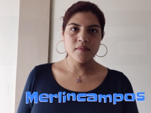 Merlincampos