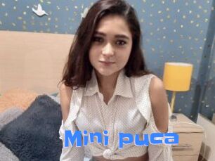 Mini_puca