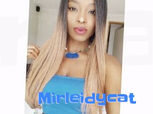 Mirleidycat