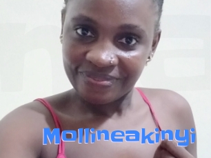 Mollineakinyi