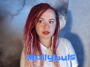 Mollybuls