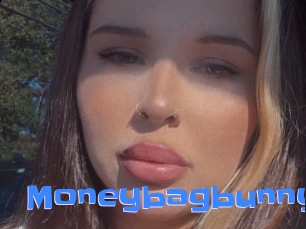 moneybagbunny Mausi Privat