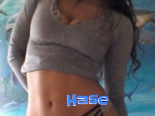 Hase