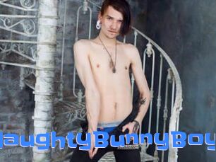 NaughtyBunnyBoy
