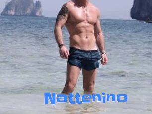 Nattenino